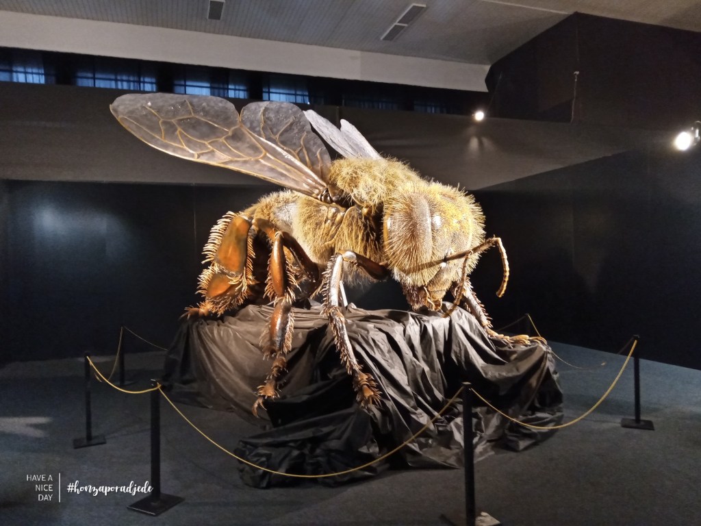 MEGABROUCI NA VYSTECU VE&nbsp;ŠTATLU